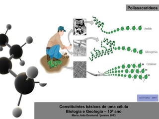 Polissacarídeos




Constituintes básicos de uma célula
   Biologia e Geologia – 10º ano
      Maria João Drumond / janeiro 2013
 