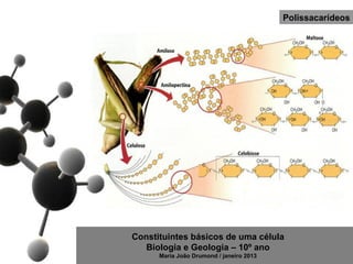 Polissacarídeos




Constituintes básicos de uma célula
   Biologia e Geologia – 10º ano
      Maria João Drumond / janeiro 2013
 