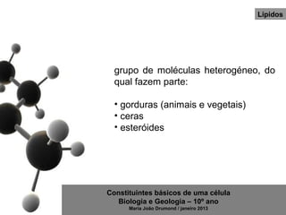 Lípidos




  grupo de moléculas heterogéneo, do
  qual fazem parte:

  • gorduras (animais e vegetais)
  • ceras
  • esteróides




Constituintes básicos de uma célula
   Biologia e Geologia – 10º ano
      Maria João Drumond / janeiro 2013
 