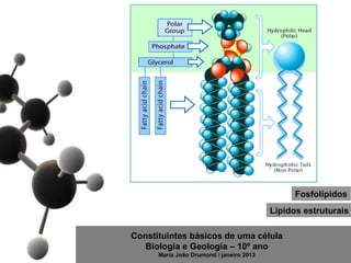 Fosfolípidos
                                          Lípidos estruturais

Constituintes básicos de uma célula
   Biologia e Geologia – 10º ano
      Maria João Drumond / janeiro 2013
 