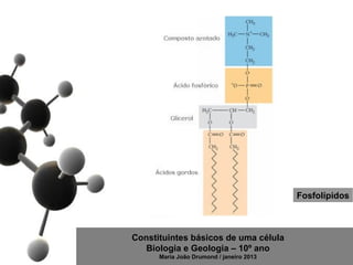 Fosfolípidos



Constituintes básicos de uma célula
   Biologia e Geologia – 10º ano
      Maria João Drumond / janeiro 2013
 