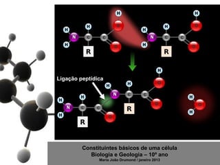 Ligação peptídica




         Constituintes básicos de uma célula
            Biologia e Geologia – 10º ano
               Maria João Drumond / janeiro 2013
 