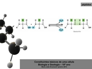 péptidos




Constituintes básicos de uma célula
   Biologia e Geologia – 10º ano
      Maria João Drumond / janeiro 2013
 