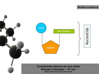 Ácidos nucleicos




Constituintes básicos de uma célula
   Biologia e Geologia – 10º ano
      Maria João Drumond / janeiro 2013
 