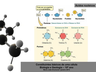 Ácidos nucleicos




Constituintes básicos de uma célula
   Biologia e Geologia – 10º ano
      Maria João Drumond / janeiro 2013
 
