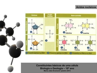 Ácidos nucleicos




Constituintes básicos de uma célula
   Biologia e Geologia – 10º ano
      Maria João Drumond / janeiro 2013
 