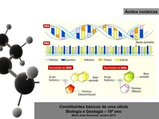 Ácidos nucleicos




Constituintes básicos de uma célula
   Biologia e Geologia – 10º ano
      Maria João Drumond / janeiro 2013
 