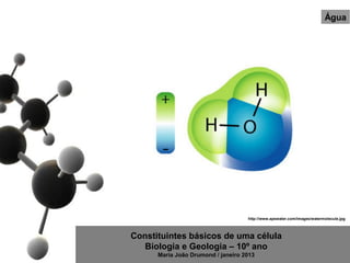 Água




                                    http://www.apswater.com/images/watermolecule.jpg



Constituintes básicos de uma célula
   Biologia e Geologia – 10º ano
      Maria João Drumond / janeiro 2013
 
