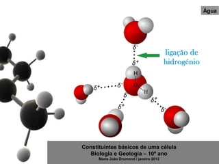 Água




Constituintes básicos de uma célula
   Biologia e Geologia – 10º ano
      Maria João Drumond / janeiro 2013
 