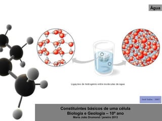 Água




Constituintes básicos de uma célula
   Biologia e Geologia – 10º ano
      Maria João Drumond / janeiro 2013
 