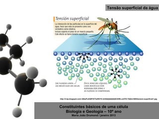 Tensão superfícial da água




http://3.bp.blogspot.com/-40bsPuXQR70/TislR2YX-UI/AAAAAAAAAC0/WLJuXYE-7QQ/s1600/tension-superficial1.jpg



Constituintes básicos de uma célula
   Biologia e Geologia – 10º ano
            Maria João Drumond / janeiro 2013
 
