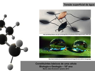 Tensão superfícial da água




      http://portaldoprofessor.mec.gov.br/storage/discovirtual/aulas/1923/imagens/metal_walker.jpg




                http://www.brasilescola.com/upload/conteudo/images/formato-esferico-da-agua.jpg



Constituintes básicos de uma célula
   Biologia e Geologia – 10º ano
      Maria João Drumond / janeiro 2013
 