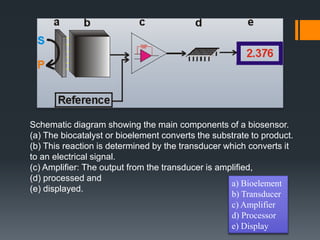 Schematic diagram showing the main components of a biosensor.
(a) The biocatalyst or bioelement converts the substrate to product.
(b) This reaction is determined by the transducer which converts it
to an electrical signal.
(c) Amplifier: The output from the transducer is amplified,
(d) processed and
(e) displayed.
a) Bioelement
b) Transducer
c) Amplifier
d) Processor
e) Display
 
