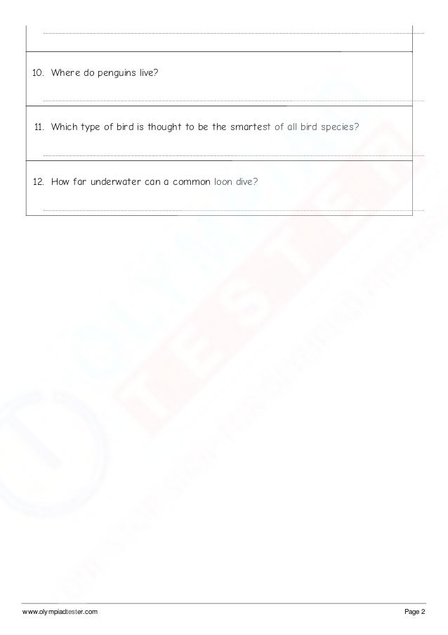 Short essay on birds picture