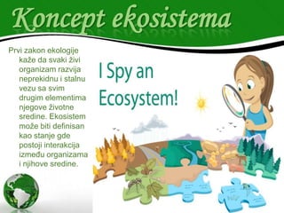 Koncept ekosistema
Prvi zakon ekologije
kaže da svaki živi
organizam razvija
neprekidnu i stalnu
vezu sa svim
drugim elementima
njegove životne
sredine. Ekosistem
može biti definisan
kao stanje gde
postoji interakcija
između organizama
i njihove sredine.

 