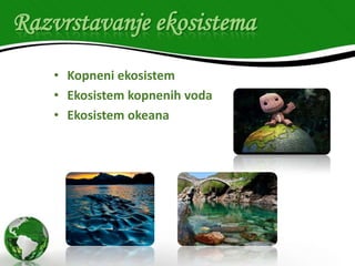 Razvrstavanje ekosistema
• Kopneni ekosistem
• Ekosistem kopnenih voda
• Ekosistem okeana

 