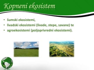 Kopneni ekosistem
• šumski ekosistemi,
• livadski ekosistemi (livade, stepe, savane) te
• agroekosistemi (poljoprivredni ekosistemi).

 