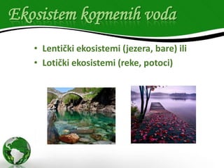 Ekosistem kopnenih voda
• Lentički ekosistemi (jezera, bare) ili
• Lotički ekosistemi (reke, potoci)

 