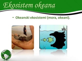 Ekosistem okeana
• Okeanski ekosistemi (mora, okeani).

 