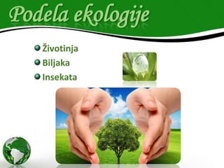 Podela ekologije
Životinja
Biljaka
Insekata

 
