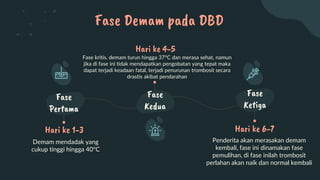 Fase
Pertama
Fase
Kedua
Fase
Ketiga
Fase Demam pada DBD
Hari ke 1-3 Hari ke 6-7
Demam mendadak yang
cukup tinggi hingga 40°C
Penderita akan merasakan demam
kembali, fase ini dinamakan fase
pemulihan, di fase inilah trombosit
perlahan akan naik dan normal kembali
Hari ke 4-5
Fase kritis, demam turun hingga 37°C dan merasa sehat, namun
jika di fase ini tidak mendapatkan pengobatan yang tepat maka
dapat terjadi keadaan fatal, terjadi penurunan trombosit secara
drastis akibat pendarahan
 