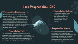 Cara pengandalian kimia yaitu dengan
pengasapan atau fogging dengan
mengguankan malathion dan fenthion agar
mengurangi kemungkinan penularan
sampai batas waktu tertentu serta
memberikan bubuk abate pada tempat-
tempat penampung air.
Cara Pengendalian DBD
Pengendalian Fisik
Cara pengendalian fisik yaitu pengendalian untuk
mengurangi atau menghindari gigitan nyamuk atau
gangguan nyamuk dilakukan dengan pemasangan kawat
kasa (kawat nyamuk) pada semua lubang yang ada di
rumah, seperi lubang angin, jendela, pintu dan lainnya.
Pengendalian Kimiawi
Pengendalian Biologis
Pengendalian biologis antara
lain dengan menggunakan
ikan pemakan jentik dan
bakteri pada tempat yang
dapat dijadikan sarang
nyamuk.
Pengendalian Lingkungan
Metode lingkungan untuk mengendalikan
nyamuk tersebut antara lain pemberantasan
sarang nyamuk (PSN), pengelolaan sampah
padat, modifikasi tempat perkembangbiakan
nyamuk hasil kegiatan manusia, menanam
tanaman pengusir nyamuk seperti lavender,
pemberantasan sarang nyamuk dengan 3 M
(menguras, menutup, mengatur ulang)dan
perbaikan desain rumah.
 
