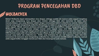 PROGRAM PENCEGAHAN DBD
WOLBACHIA
Bakteri Wolbachia dapat melumpuhkan virus dengue, sehingga apabila ada nyamuk aedes aegypti menghisap
darah yang mengandung virus dengue akan resisten sehingga tidak akan menyebar ke dalam tubuh
manusia.Adapun, cara yang dilakukan adalah dengan memasukkan bakteri wolbachia ke nyamuk. Bakteri dan
nyamuk yang sudah mengandung wolbachia ditempatkan ke dalam air yang menjadi tempat peneluran nyamuk
aedes aegypti. Alhasil, nyamuk pembawa penyakit DBD itu pun termodifikasi. Setelah mengandung bakteri
Wolbachia, mereka akan menetas sebagai nyamuk aedes aegypti tanpa virus DBD. Bakteri wolbachia
merupakan bakteri yang hidup sebagai parasit pada hewan artropoda, seperti nyamuk dan akan melawan virus
DBD.Nyamuk yang sudah ada wolbachia-nya akan dilepas di alam, di habitat alami mereka akan kawin dengan
nyamuk yang belum ada wolbachia-nya. Ketika yang betinanya itu ada wol bagiannya, maka telur-telur
turunannya ini semuanya akan mengandung wolbachia-nya. Saat nyamuk memiliki bakteri wolbachia, nyamuk
aedes aegypti ketika menggigit manusia pun tidak akan berpengaruh pada manusia.
 