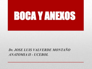 BOCA Y ANEXOS
Dr. JOSE LUIS VALVERDE MONTAÑO
ANATOMIA II - UCEBOL
 