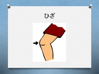 ひざ
 
