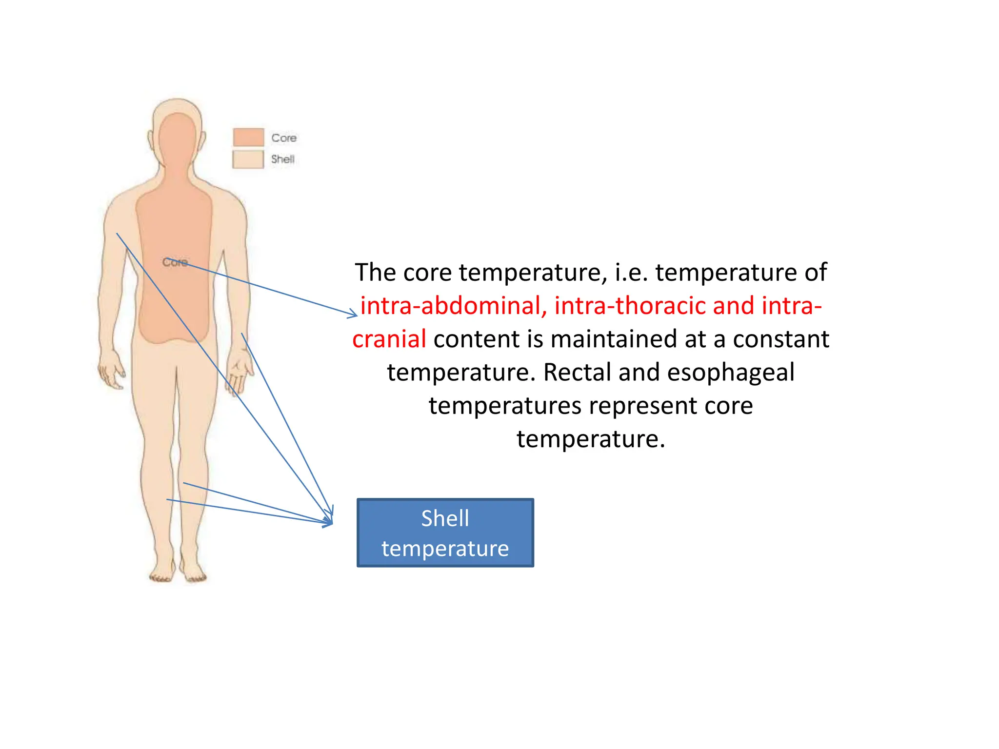 BODY TEMPERATURE AND ITS REGULATION.pptx