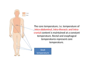 BODY TEMPERATURE AND ITS REGULATION.pptx