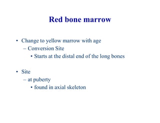 #3 Bones Marrow [Compatibility Mode].pdf