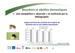 Bourdons et abeilles domestiques 
¾ Une compétition « observée » et confirmée par la 
Largeur du thorax des ouvrières de 4 espèces de 
bourdons avec et sans abeilles domestiques 
12 
bibliographie 
Goulson et al., 2009 
 