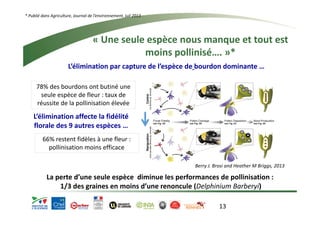 * Publié dans Agriculture, Journal de l’environnement, juil 2013 
« Une seule espèce nous manque et tout est 
moins pollinisé…. »* 
L’élimination par capture de l’espèce de bourdon dominante … 
Berry J. Brosi and Heather M Briggs, 2013 
78% des bourdons ont butiné une 
seule espèce de fleur : taux de 
réussite de la pollinisation élevée 
L’élimination affecte la fidélité 
florale des 9 autres espèces … 
La perte d’une seule espèce diminue les performances de pollinisation : 
1/3 des graines en moins d’une renoncule (Delphinium Barberyi) 
13 
66% restent fidèles à une fleur : 
pollinisation moins efficace 
 