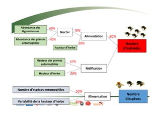 Alimentation 
Nombre 
d’individus 
Nidification 
80% 
70% 
33% 
Abondance des 
légumineuses 
Abondance des plantes 
entomophiles 
Hauteur des plantes 
entomophiles 
Hauteur d’herbe 
Nectar 
hauteur d’herbe 
30% 
60% 
40% 
67% 
Nombre d’espèces entomophiles 
Nombre 
d’espèces 
Variabilité de la hauteur d’herbe 
50% 
50% 
Alimentation 
