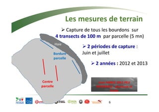 Les mesures de terrain 
¾ 2 années : 2012 et 2013 
6 
Haie 
Bordure 
parcelle 
Haie 
Centre 
parcelle 
¾ Capture de tous les bourdons sur 
4 transects de 100 m par parcelle (5 mn) 
¾ 2 périodes de capture : 
Juin et juillet 
mais ANNEE 2012 PEU 
FAVORABLE : pluvieuse et 
froide 
 