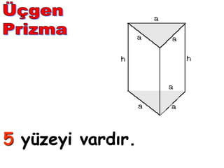 5 yüzeyi ı.
 