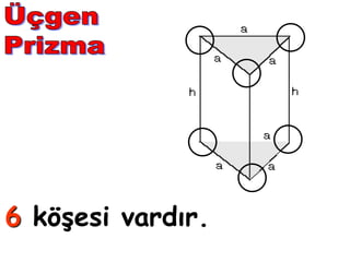 6 köşesi ı.
 