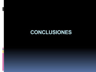 CONCLUSIONES
 