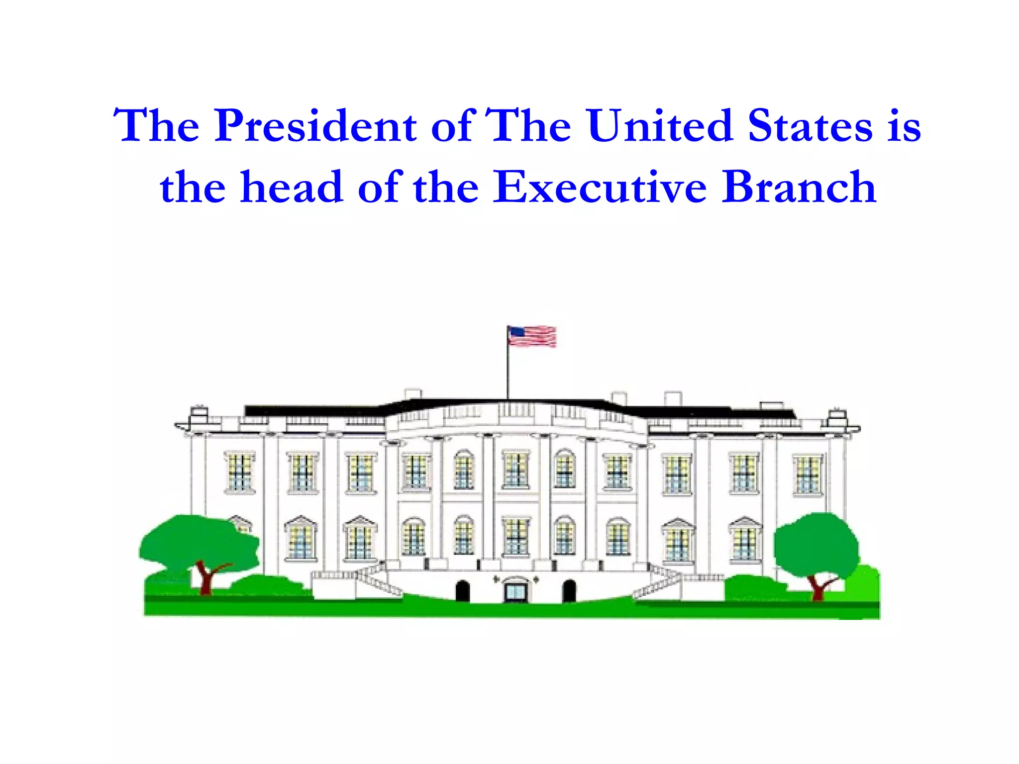 The President of The United States is the head of the Executive Branch 