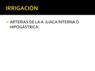  ARTERIAS DE LA A. ILIACA INTERNA O
HIPOGÁSTRICA.
 