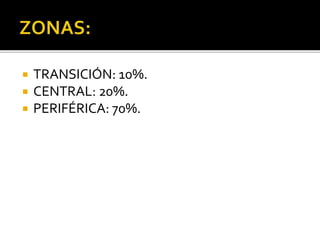  TRANSICIÓN: 10%.
 CENTRAL: 20%.
 PERIFÉRICA: 70%.
 