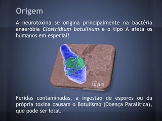 Origem
A neurotoxina se origina principalmente na bactéria
anaeróbia Clostridium botulinum e o tipo A afeta os
humanos em especial!




Feridas contaminadas, a ingestão de esporos ou da
própria toxina causam o Botulismo (Doença Paralítica),
que pode ser letal.
 