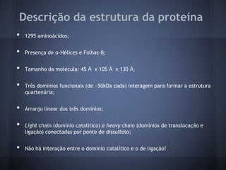 Descrição da estrutura da proteína
•   1295 aminoácidos;


•   Presença de α-Hélices e Folhas-β;


•   Tamanho da molécula: 45 Å x 105 Å x 130 Å;


•   Três domínios funcionais (de ~50kDa cada) interagem para formar a estrutura
    quartenária;


•   Arranjo linear dos três domínios;


•   Light chain (domínio catalítico) e heavy chain (domínios de translocação e
    ligação) conectadas por ponte de dissulfeto;


•   Não há interação entre o domínio catalítico e o de ligação!
 
