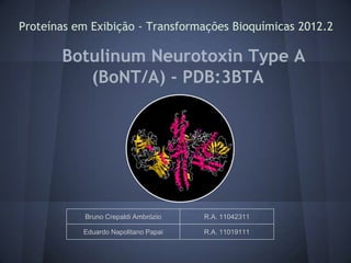Proteínas em Exibição - Transformações Bioquímicas 2012.2

       Botulinum Neurotoxin Type A
          (BoNT/A) - PDB:3BTA




            Bruno Crepaldi Ambrózio   R.A. 11042311

           Eduardo Napolitano Papai   R.A. 11019111
 