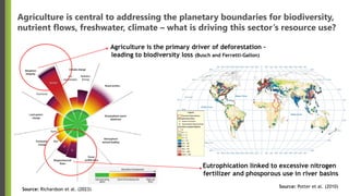 Thomas Hertel- Integrated Policies for the Triple Planetary Crisis.pdf