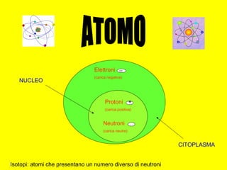 ATOMO Elettroni (carica negativa)   NUCLEO CITOPLASMA _ Protoni (carica positiva) Neutroni (carica neutre) Isotopi: atomi che presentano un numero diverso di neutroni + 