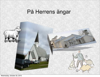På Herrens ängar




Wednesday, October 20, 2010
 
