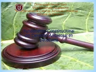 Fundamento Constitucional
del Derecho Ambiental en
Venezuela
* Universidad Fermín Toro
Vice Rectorado Académico
Facultad de Ciencias Jurídicas y Políticas
Escuela de Derecho
 