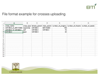 3c Cassavabase workshop: manage-crosses | PDF